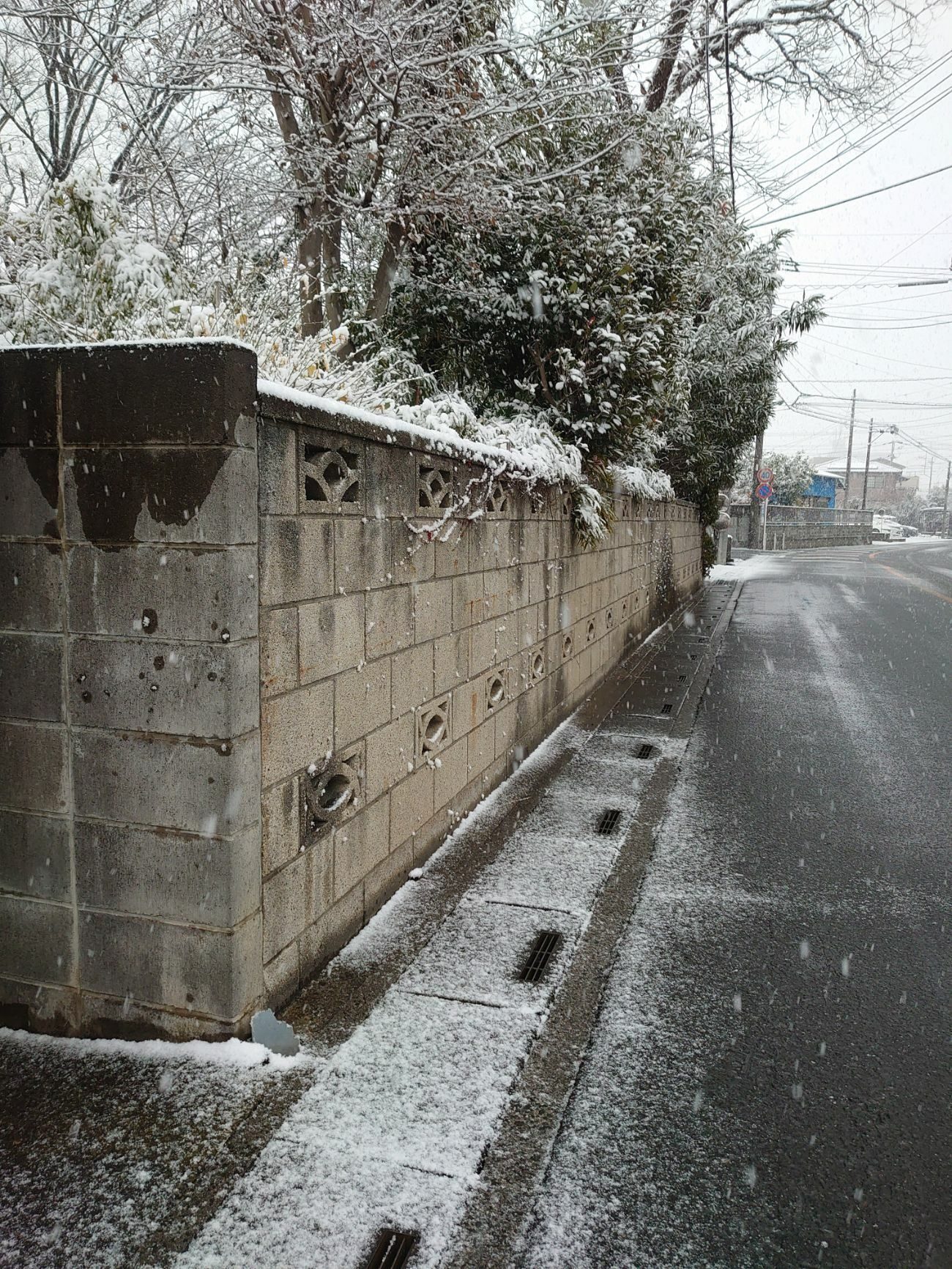 before画像