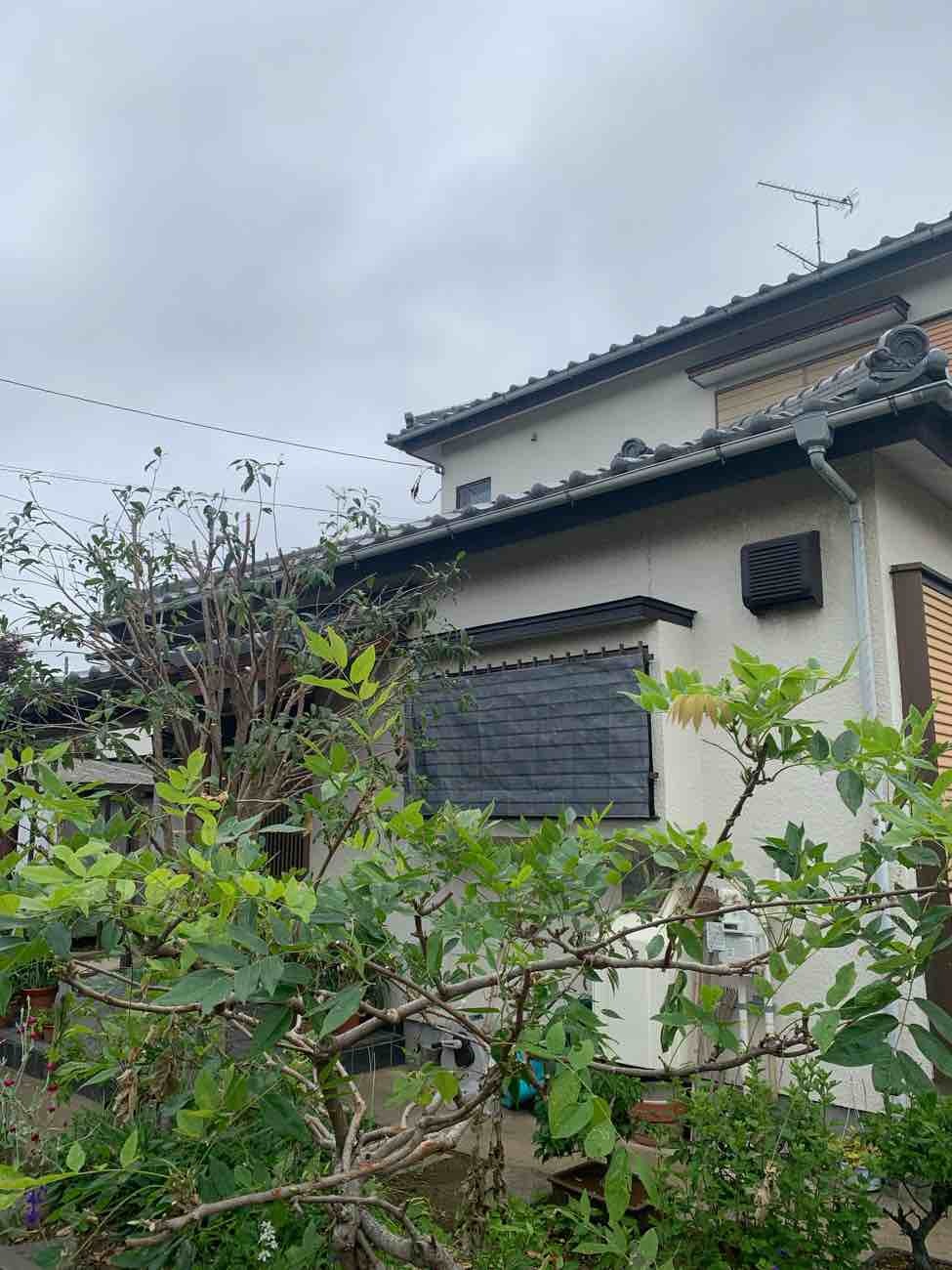 before画像