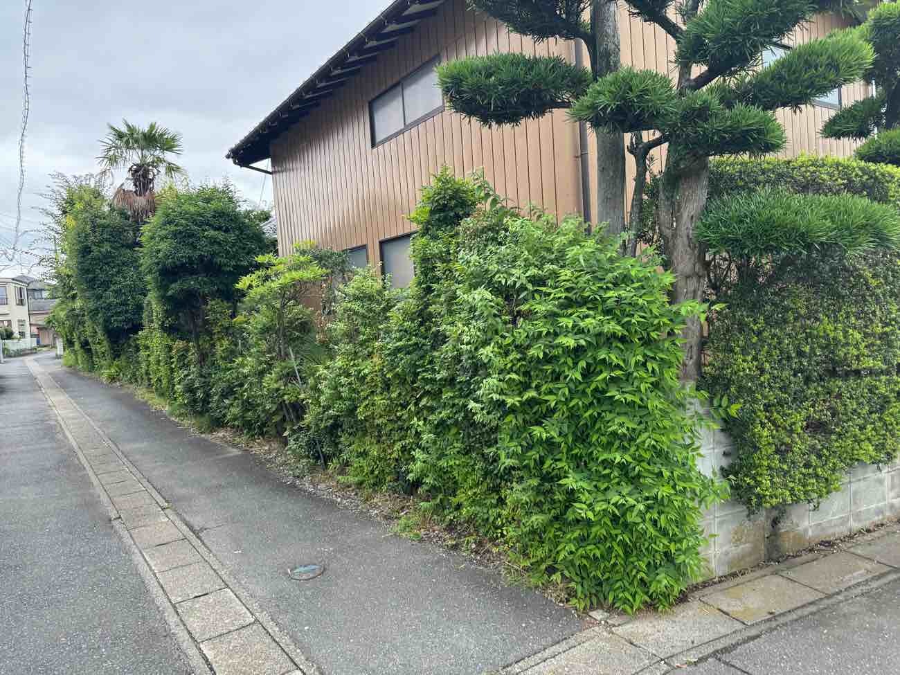 before画像