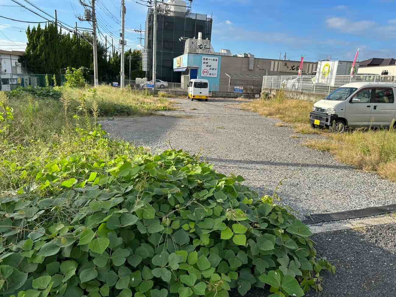 before画像
