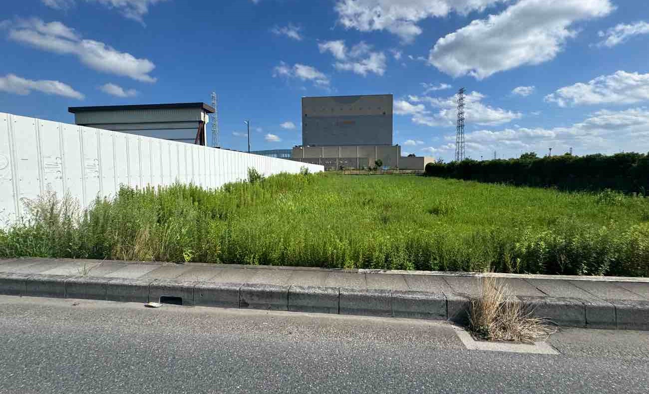before画像