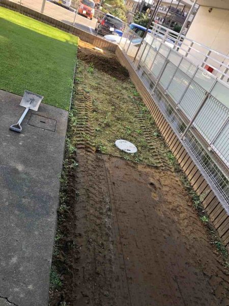 before画像