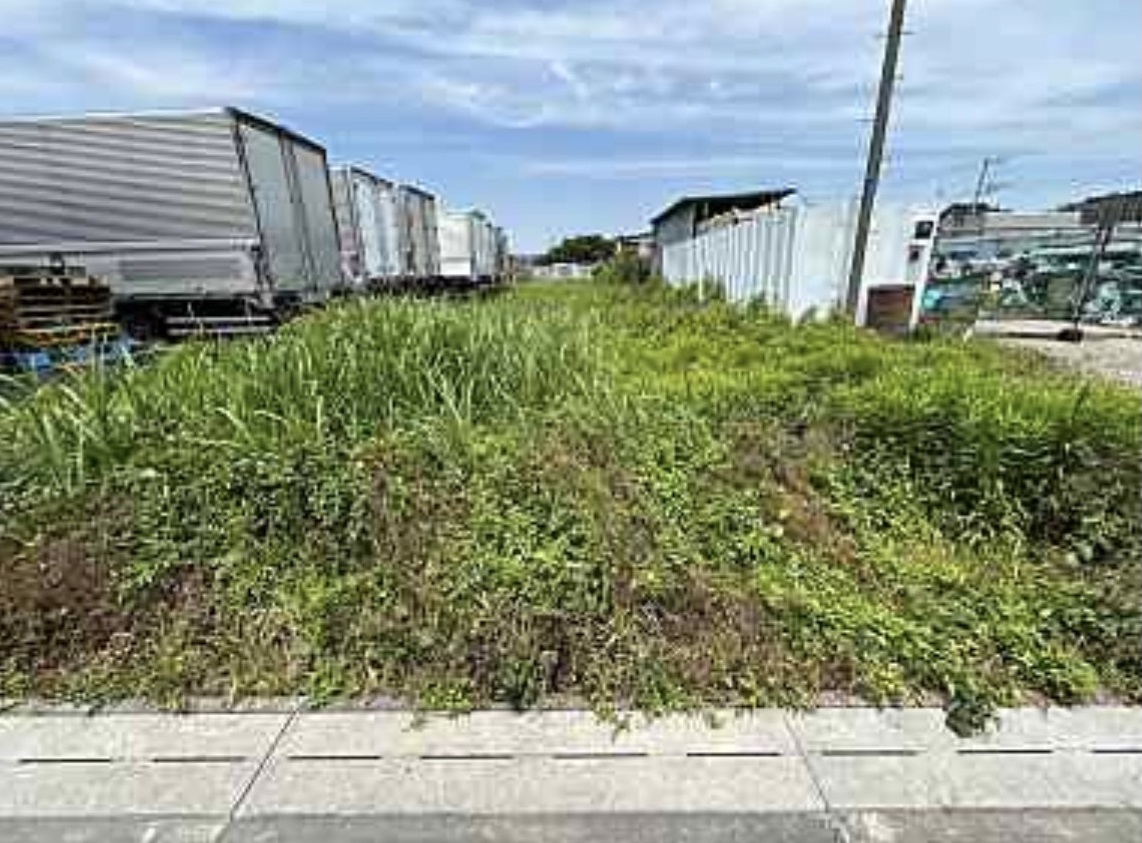 before画像