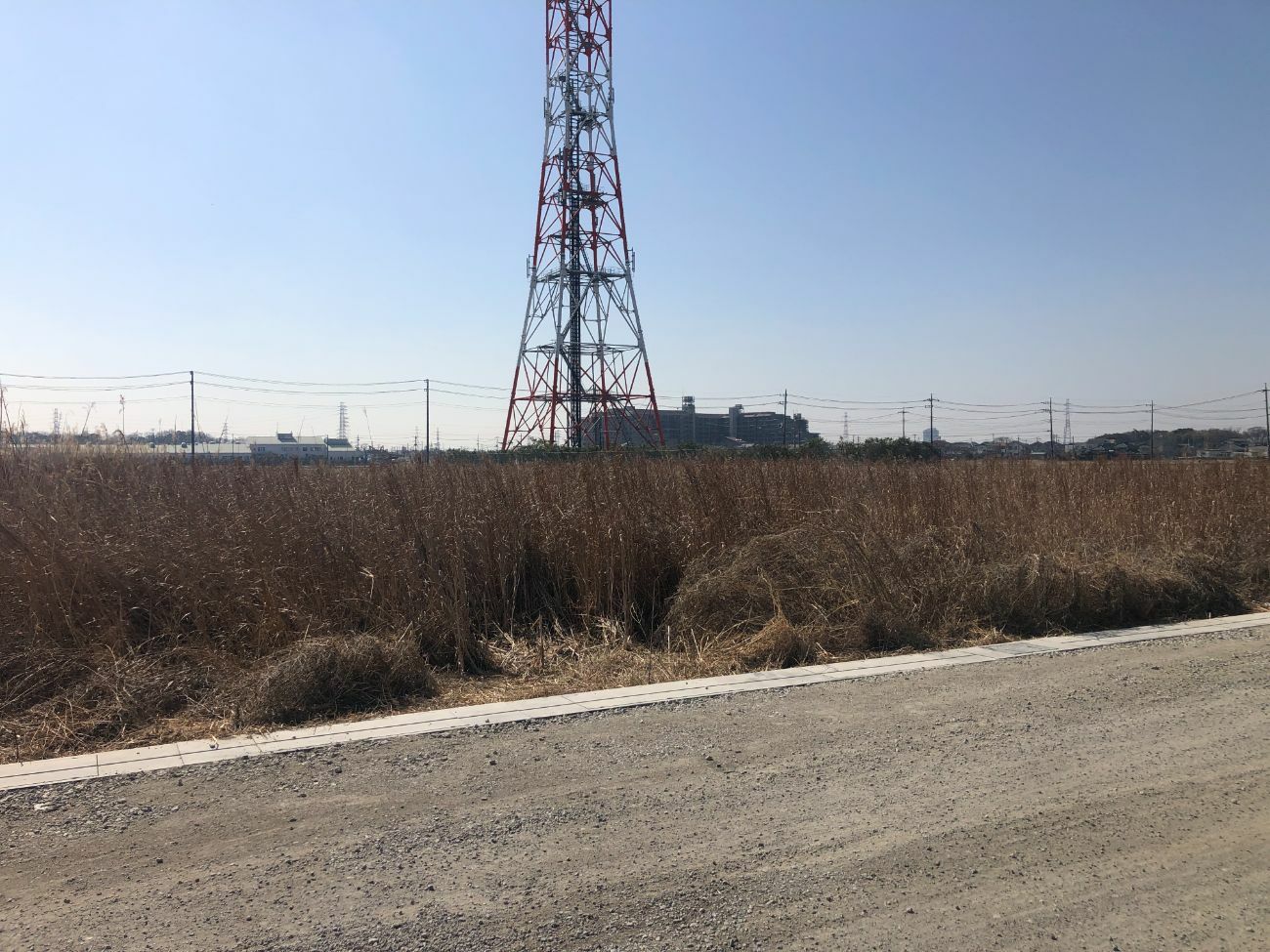 before画像
