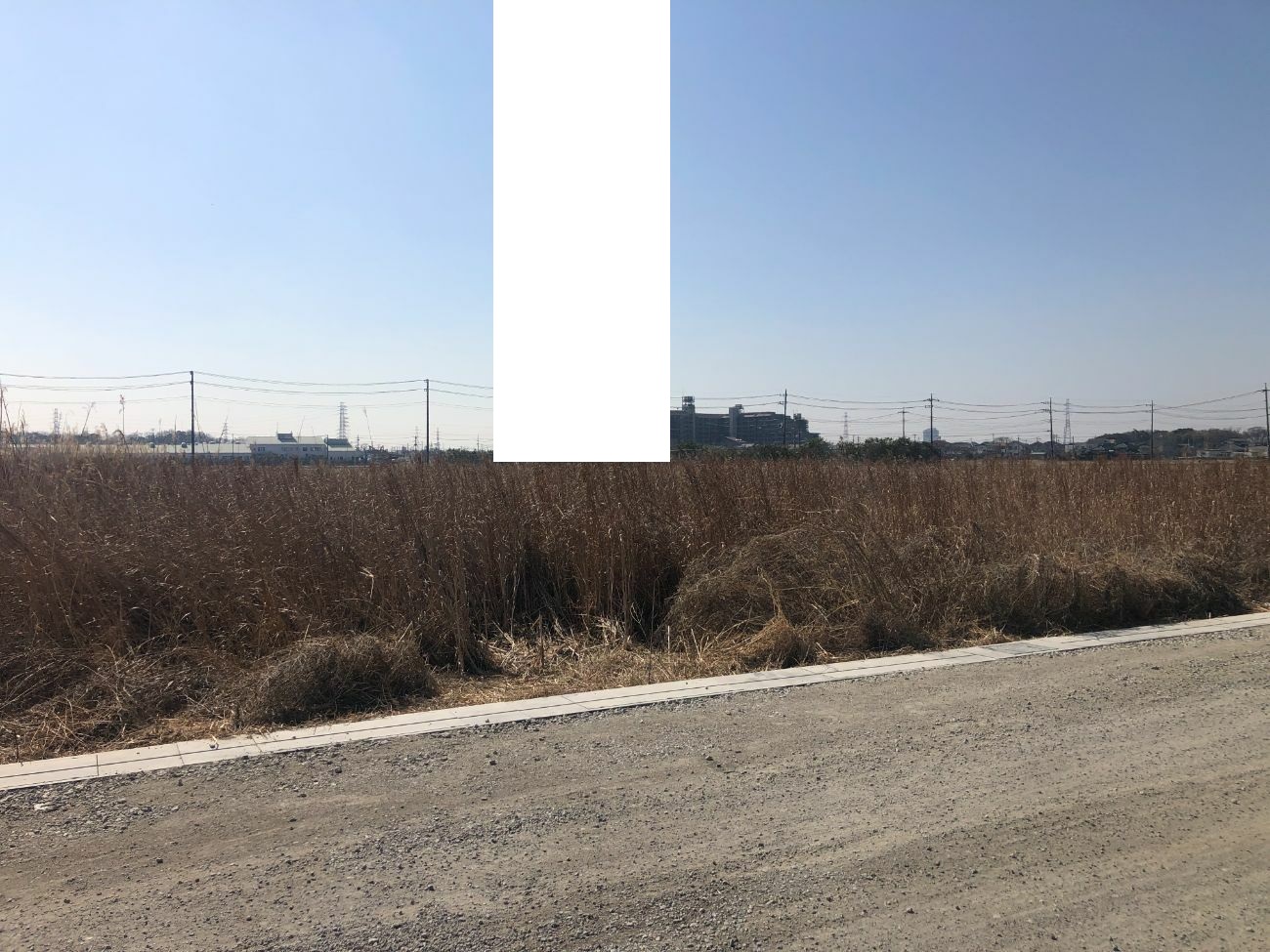 before画像