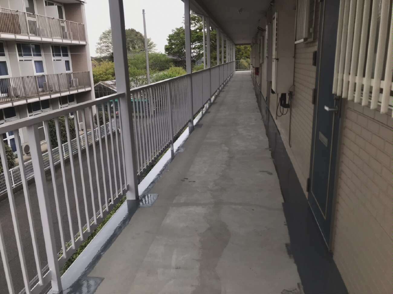 before画像