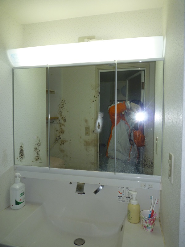 before画像