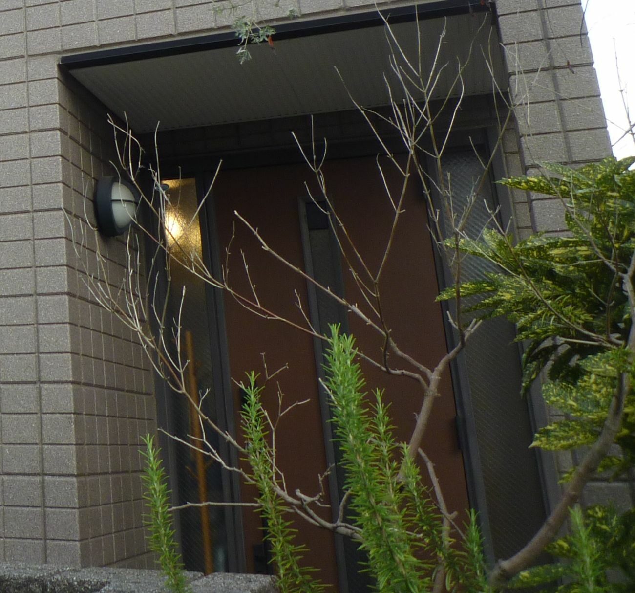 before画像