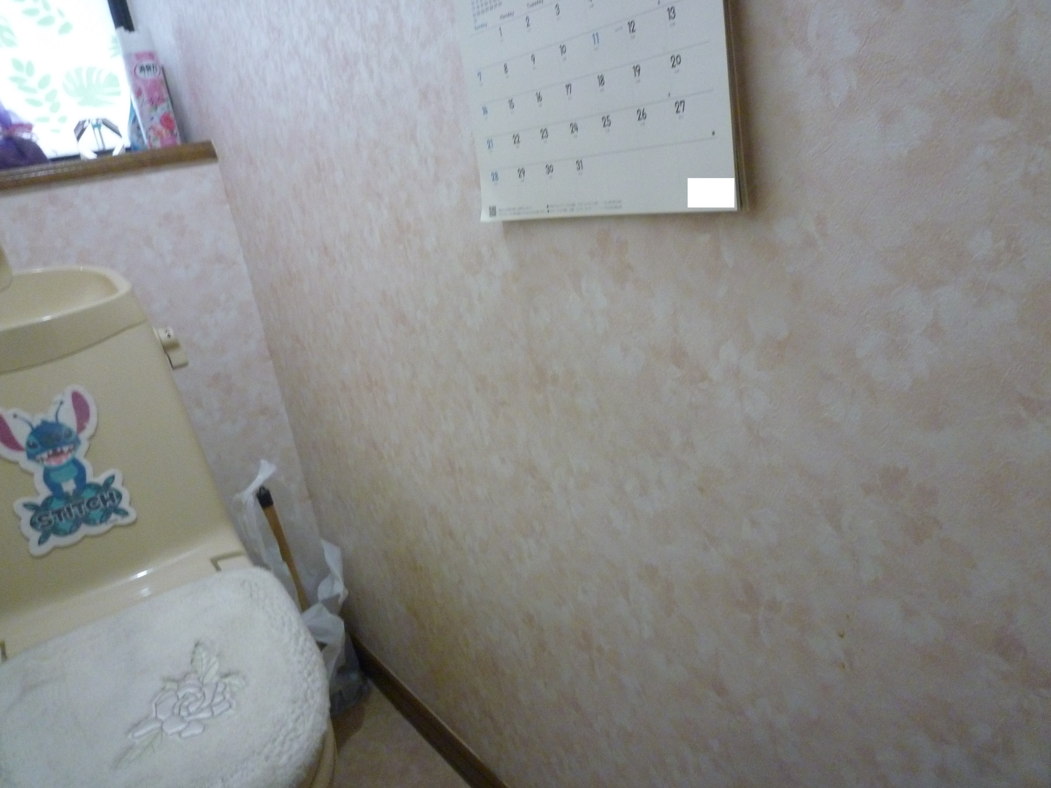 before画像