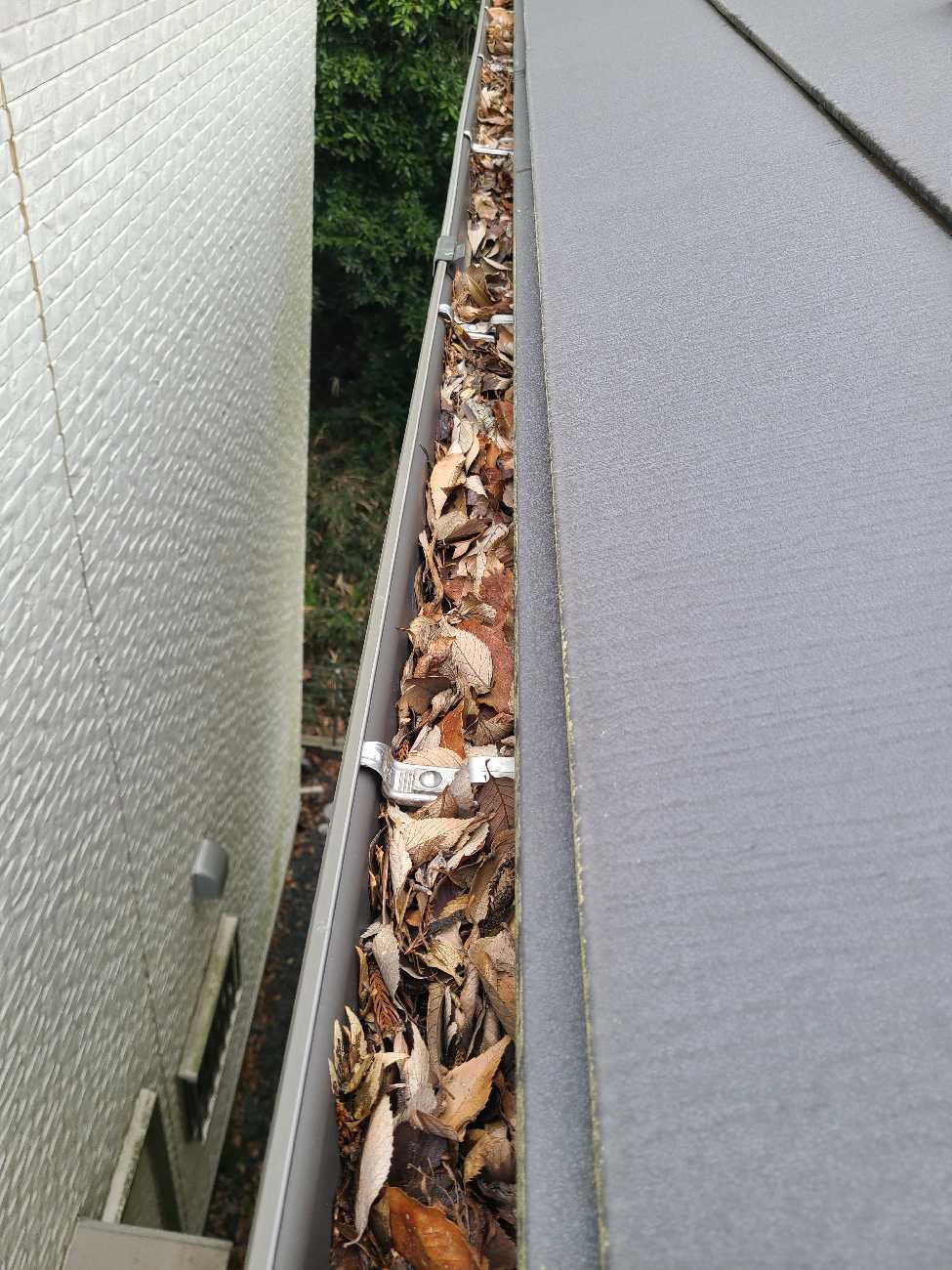 before画像
