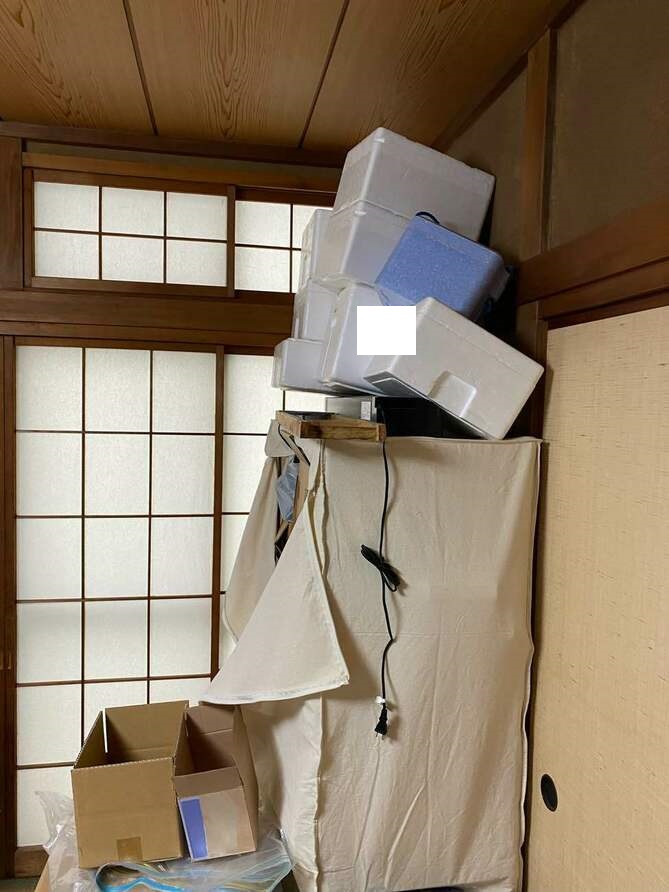 before画像