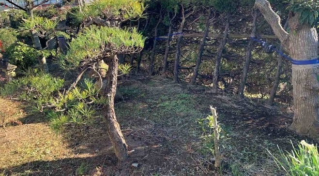 before画像