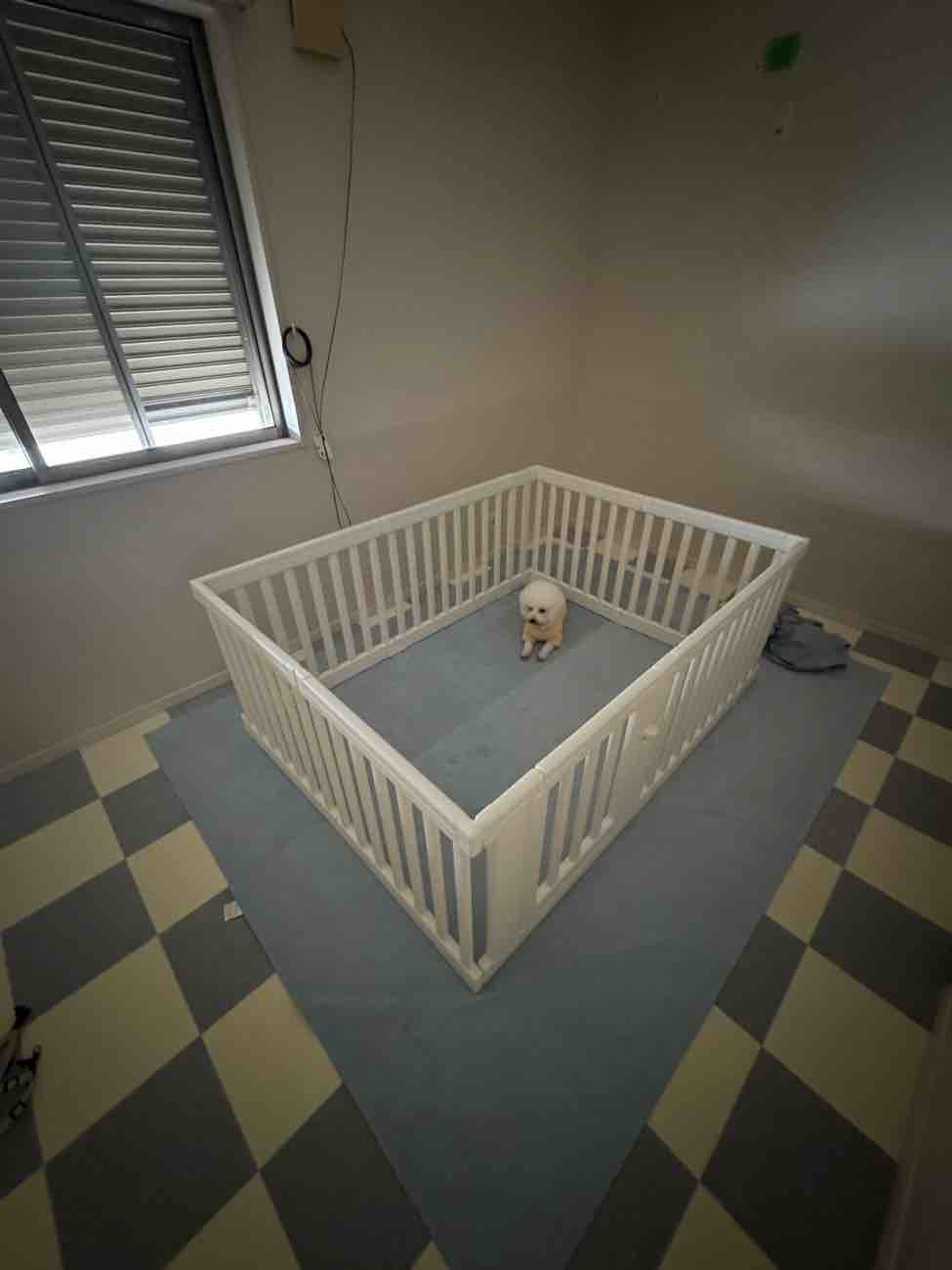 【埼玉県三郷市】愛犬家リノベの最適解 腰壁・抗菌床・W空気清浄で「資産価値」を守り抜く内装