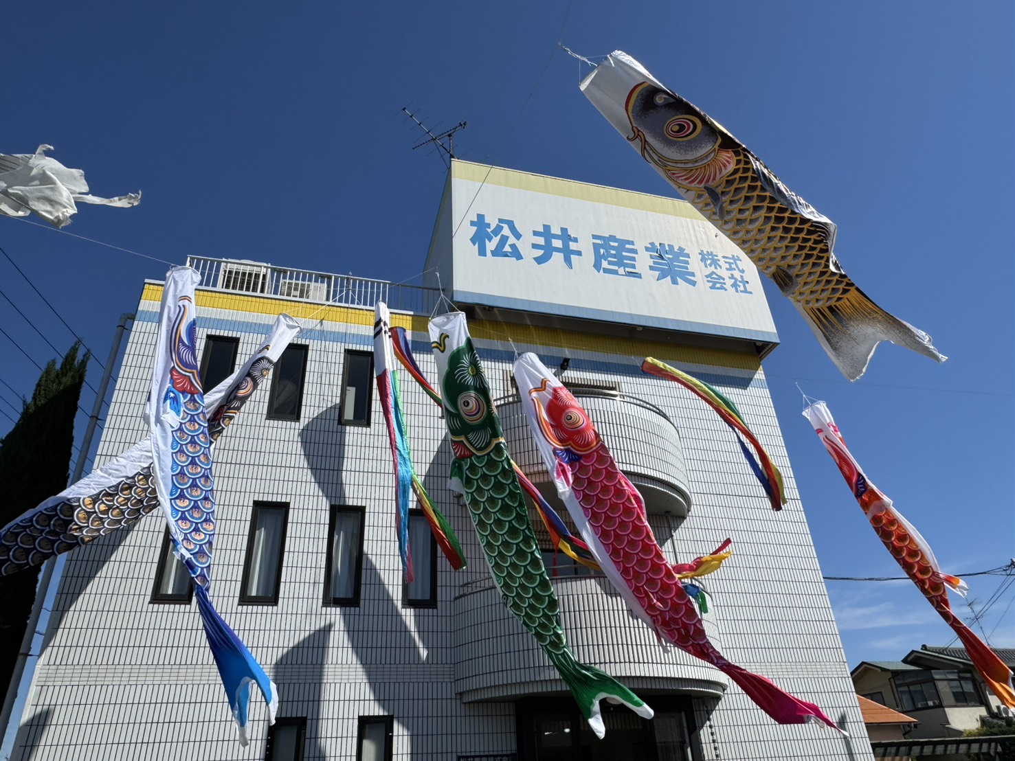 🎏【祝・こどもの日】 初夏の眩しい陽光と、これからの理想のリフォーム