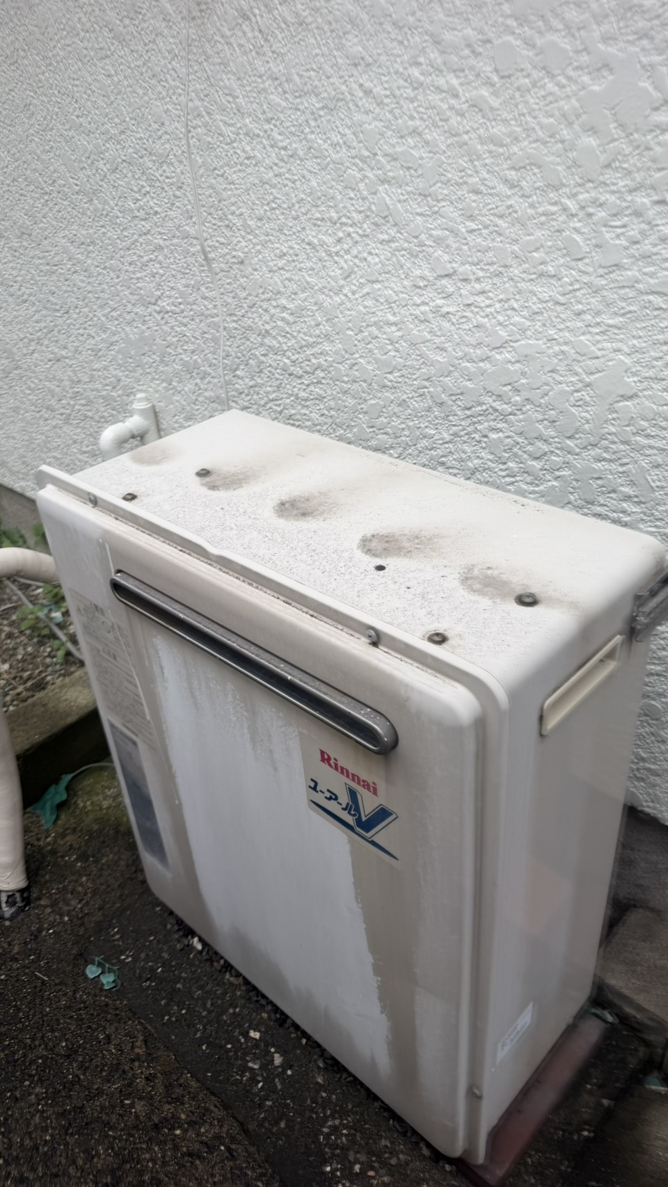 before画像