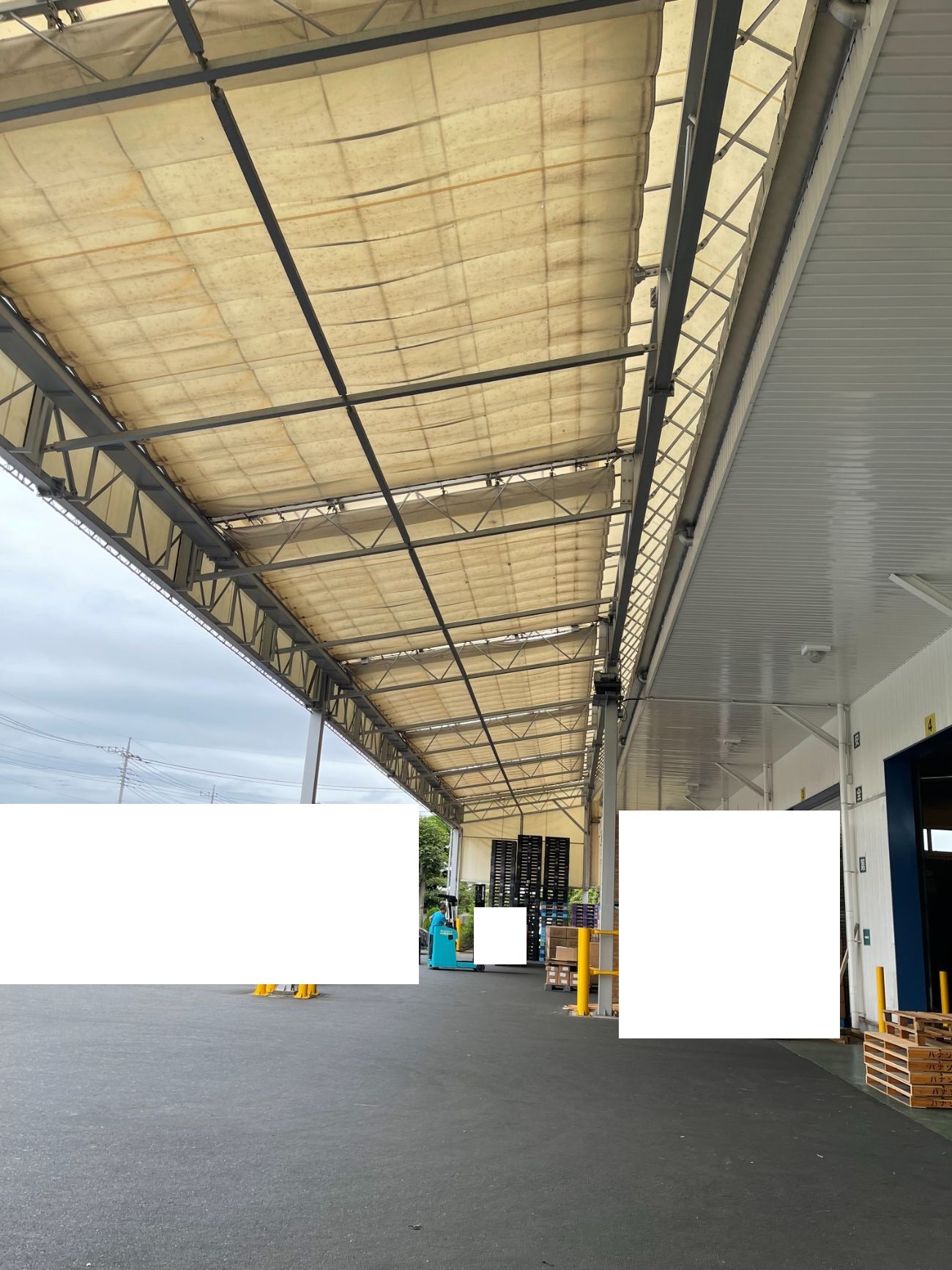 Before画像